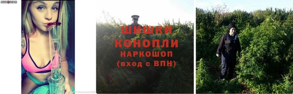 соль курить ск Беломорск