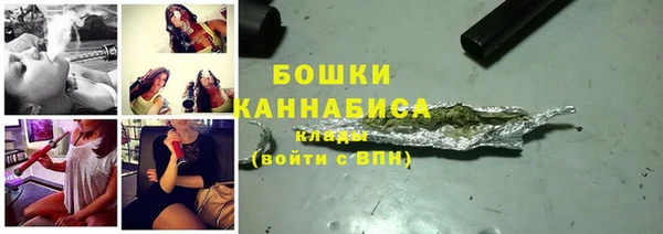 прущие грибы Белоозёрский
