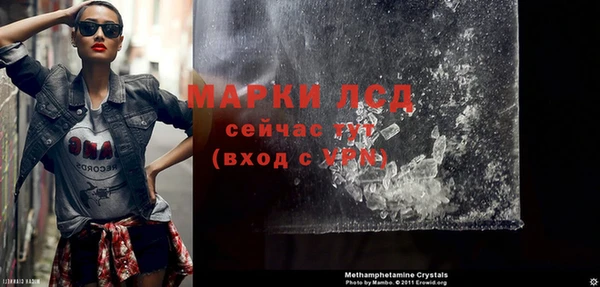 прущие грибы Белоозёрский