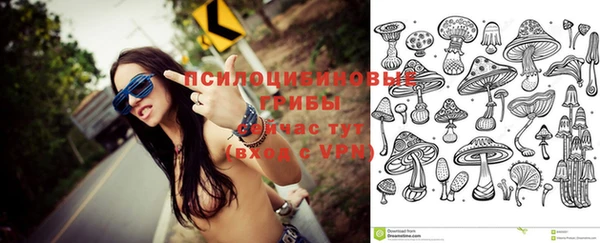 2c-b Белокуриха