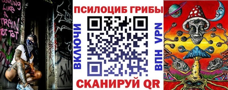 Галлюциногенные грибы GOLDEN TEACHER  Плёс 