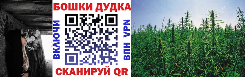 наркота  Плёс  Бошки Шишки сатива 